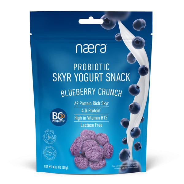 Probiotic Blueberry Skyr Yogurt Snack